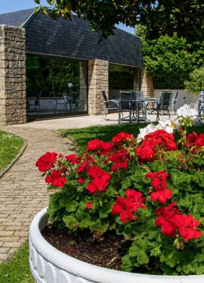 Géraniums du jardin